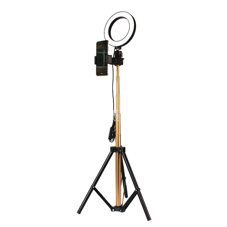 LumaGlow 10" LED Ring Light Kit with Remote for iPhone Videos